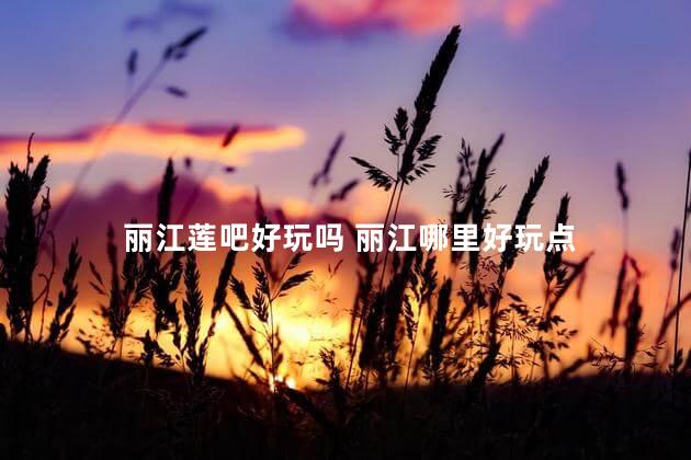 丽江莲吧好玩吗 丽江哪里好玩点